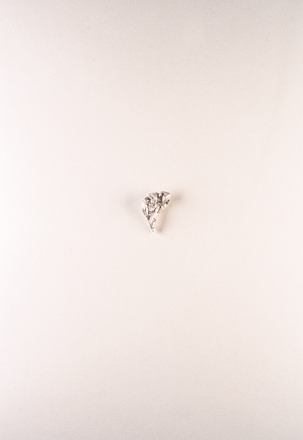 Fossil 017