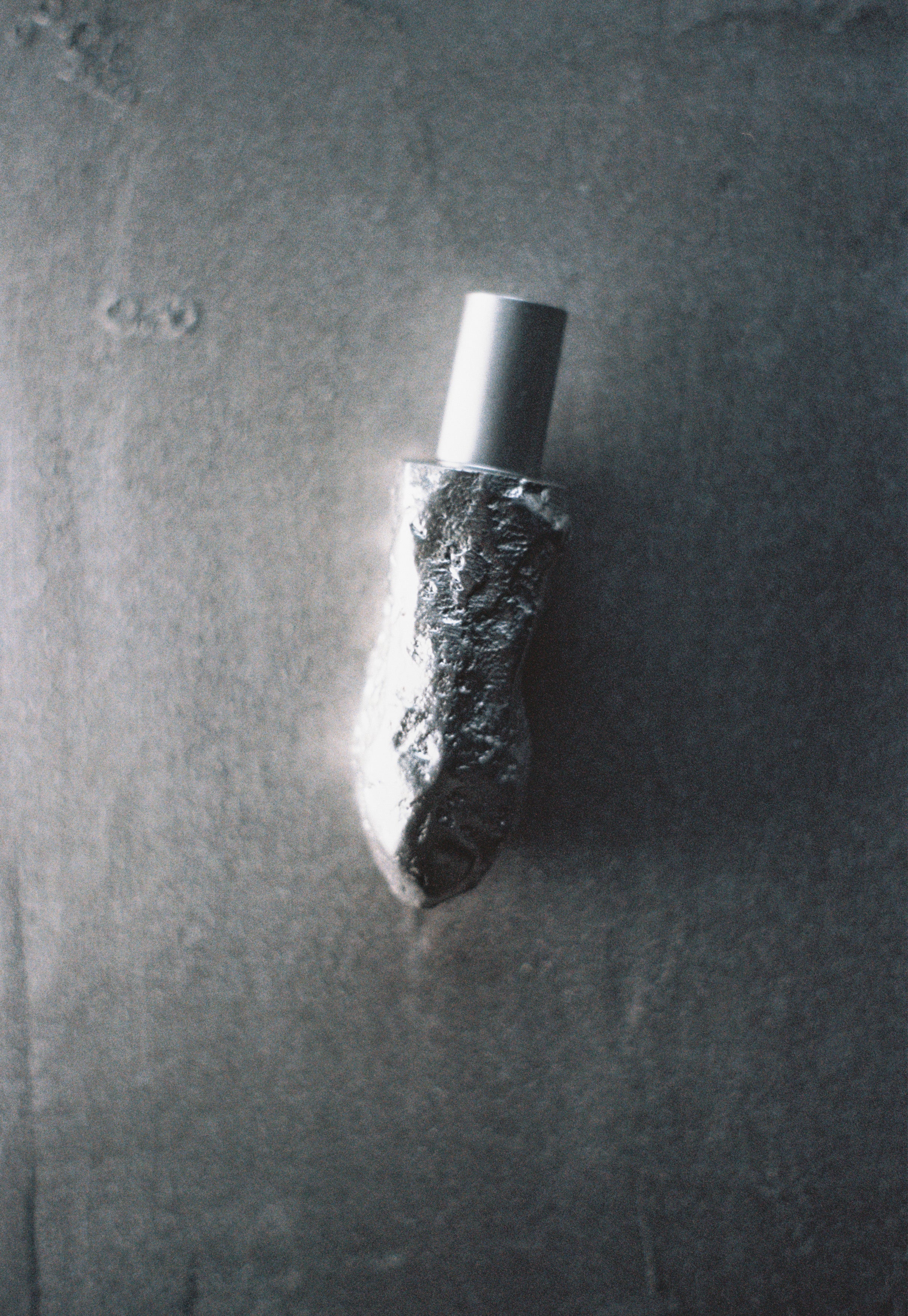 Fossil 001