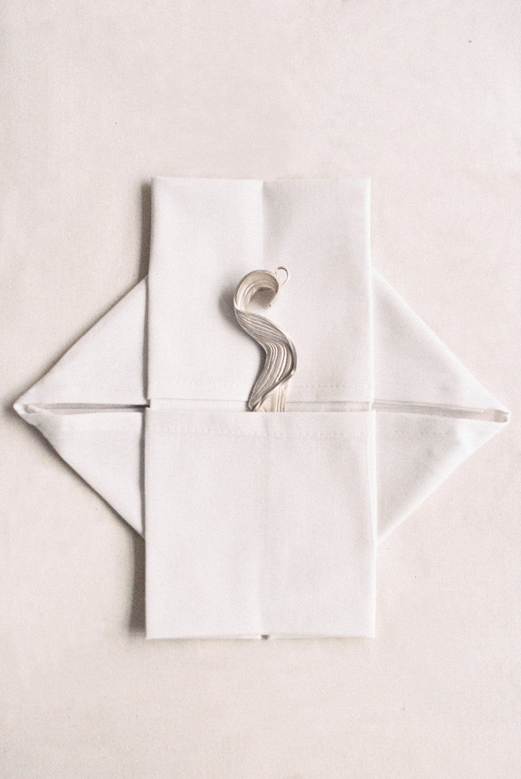 Fossil 006