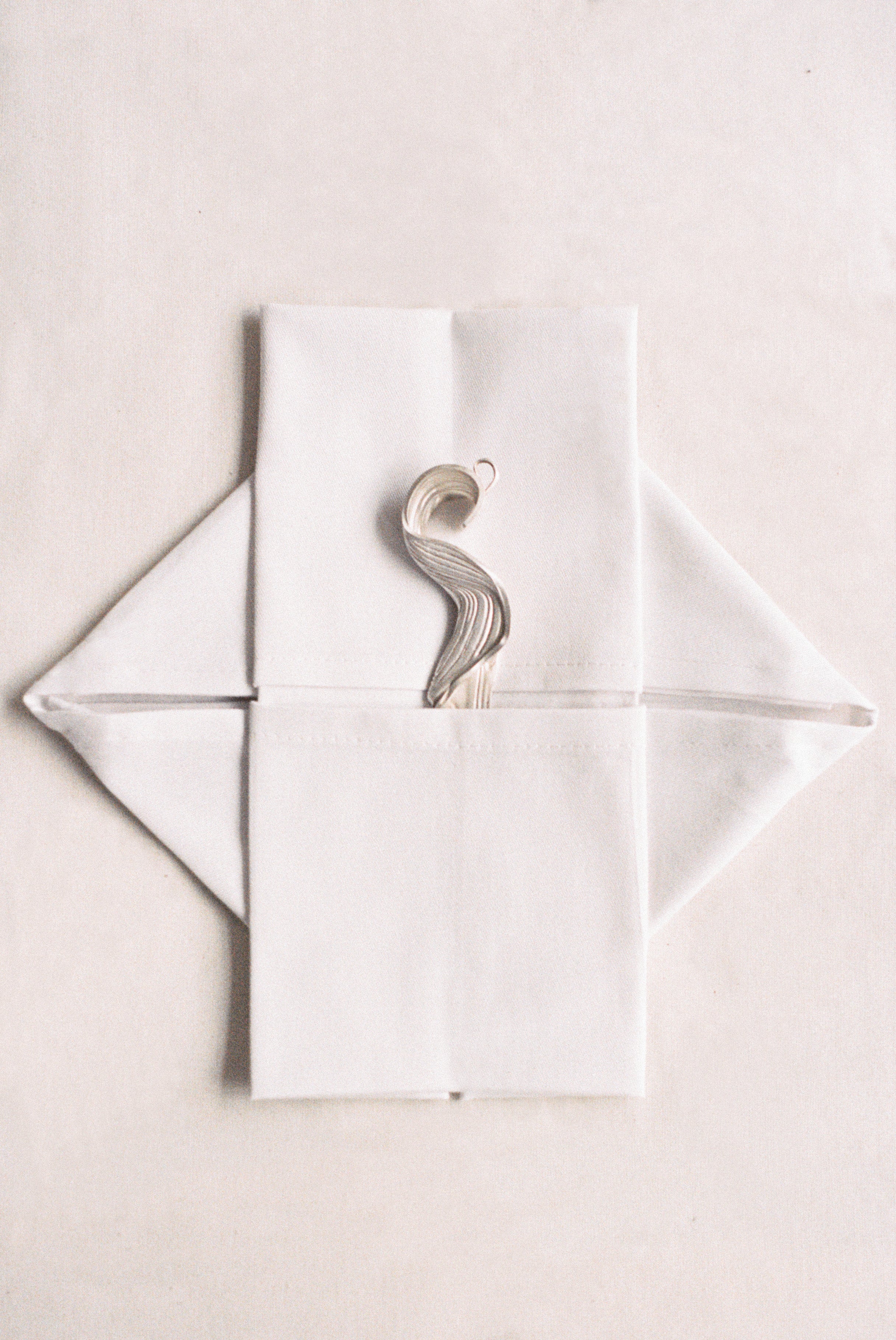 Fossil 006