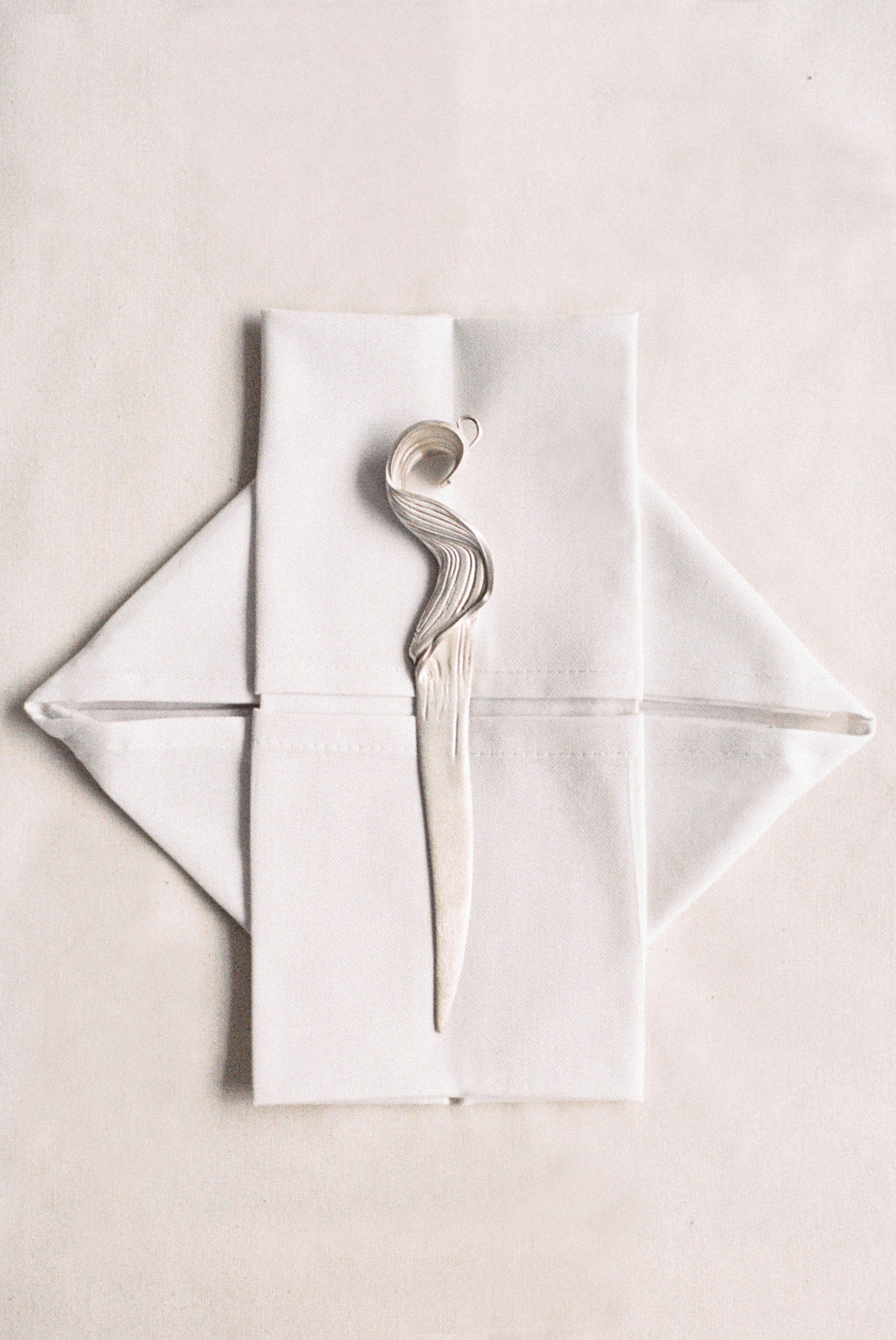 Fossil 006