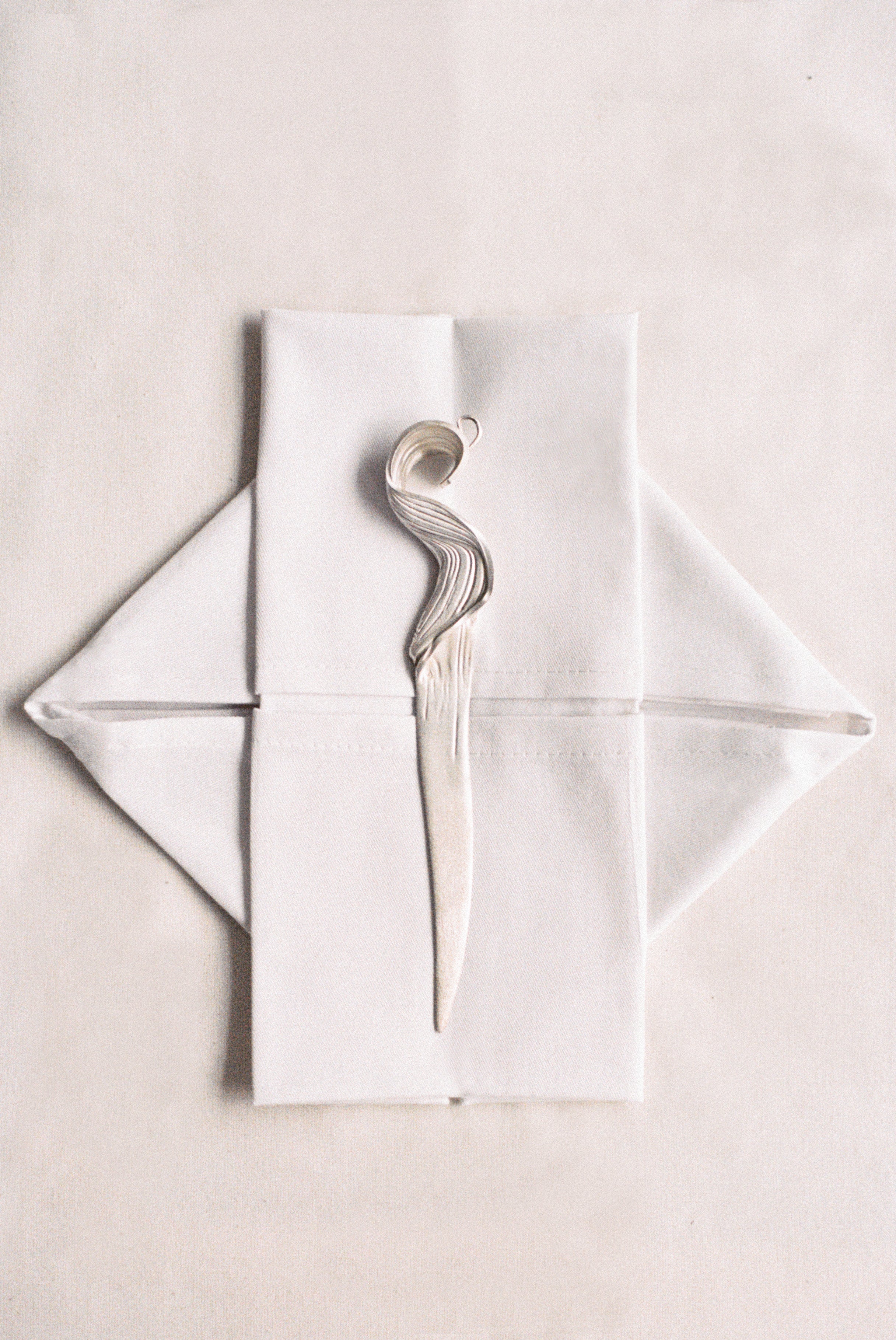 Fossil 006