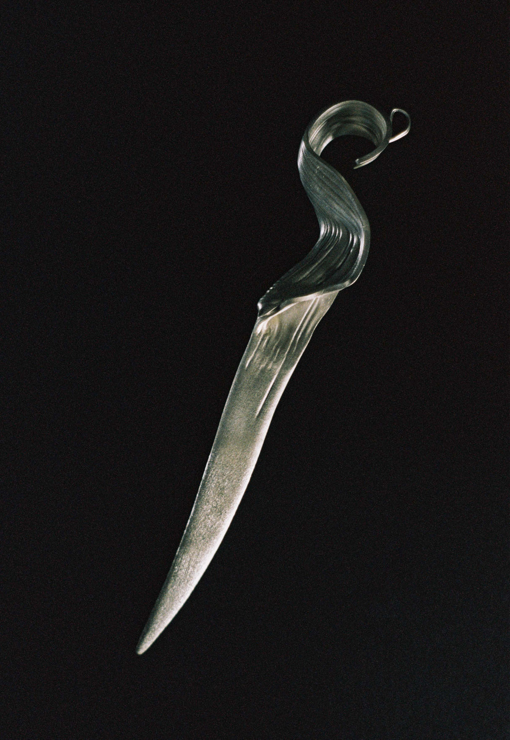 Fossil 006