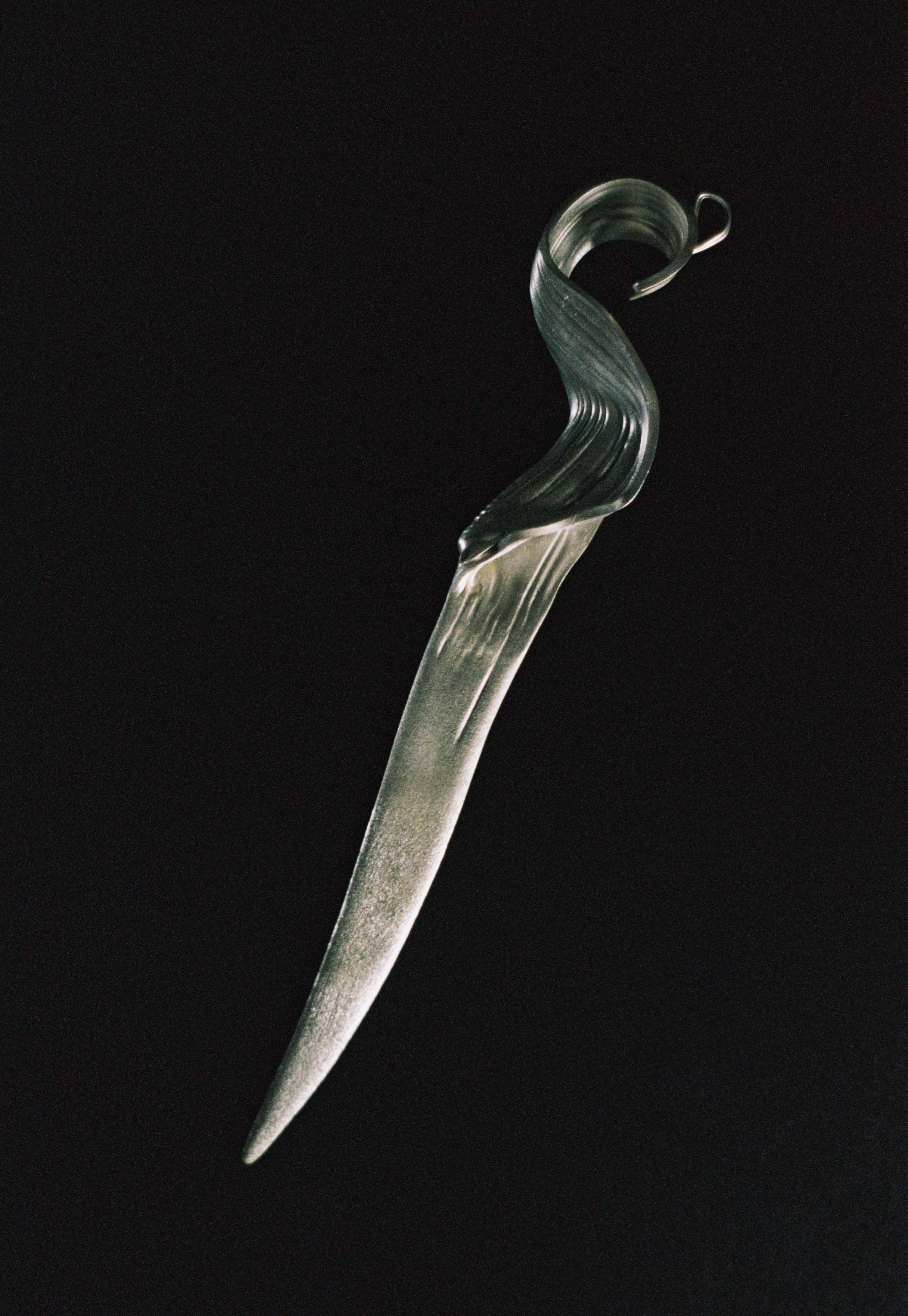 Fossil 006